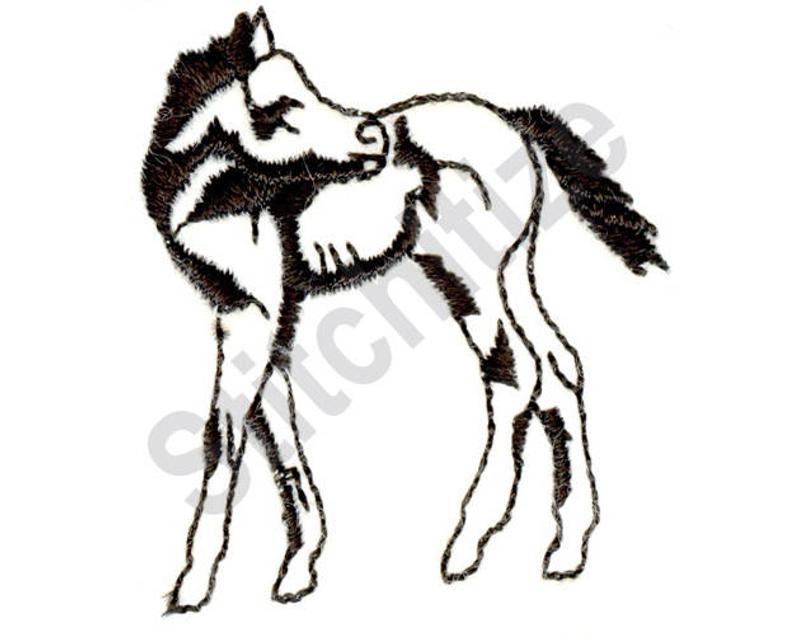 794x635 Colt Machine Embroidery Design Foal Baby Horse Etsy