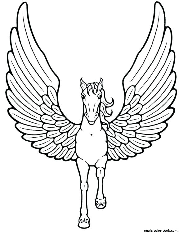 590x747 Free Coloring Pages Baby Horses Horse Color