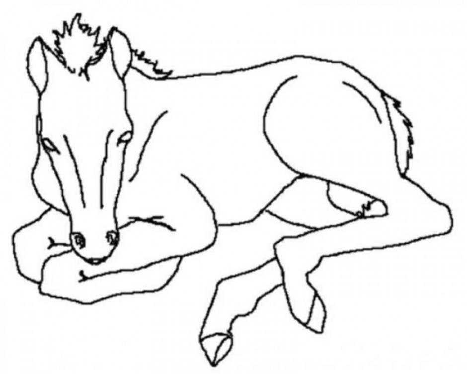 940x752 Online Coloring Book Baby Horse Coloring Pages Printable