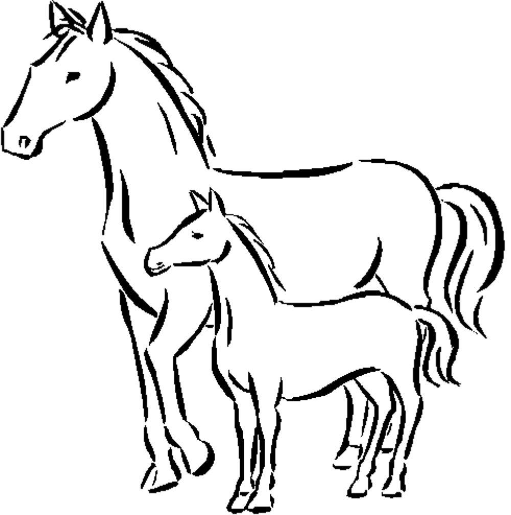 1000x1006 Printable Baby Horse Coloring Pages To Print Ba Horse Coloring
