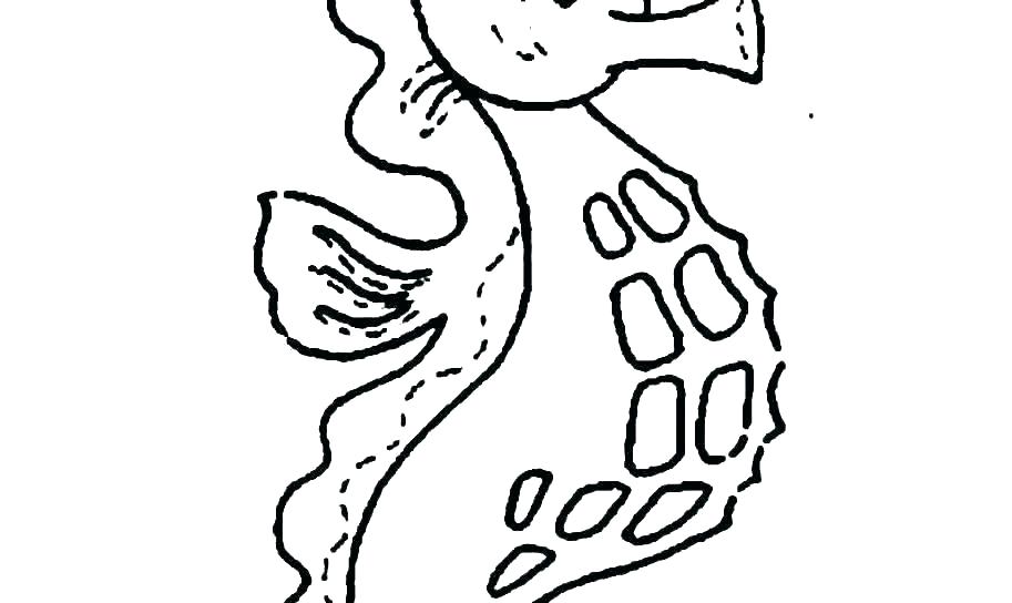 913x544 Baby Horse Coloring Pages
