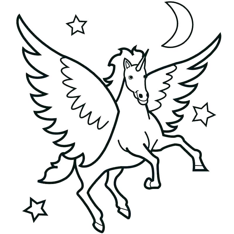 800x800 Mom And Baby Horse Coloring Pages