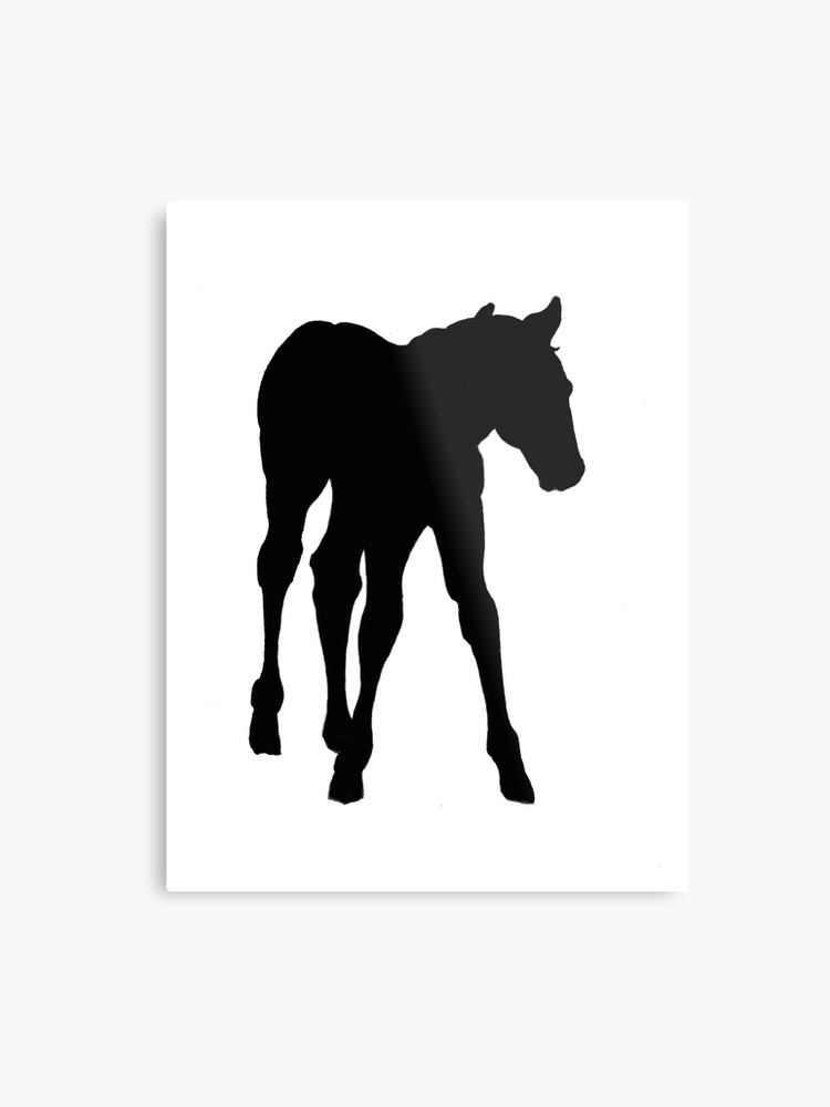 750x1000 Baby Horse, Silhouette, Horse, Foal, Drawing Metal Print