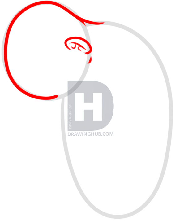 595x720 How To Draw A Fetus, Step