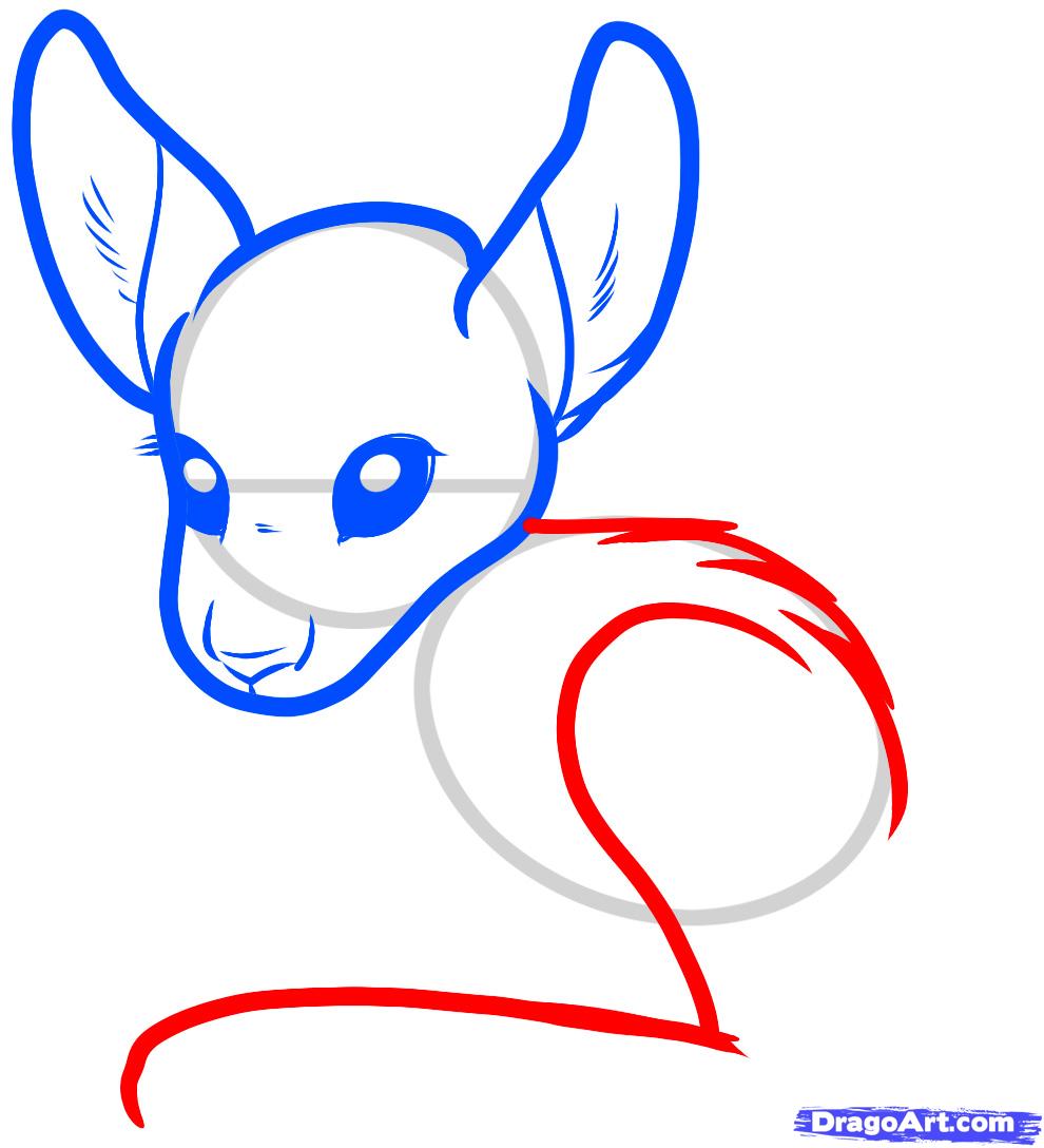 990x1088 How To Draw A Baby Kangaroo, Baby Kangaroo, Step