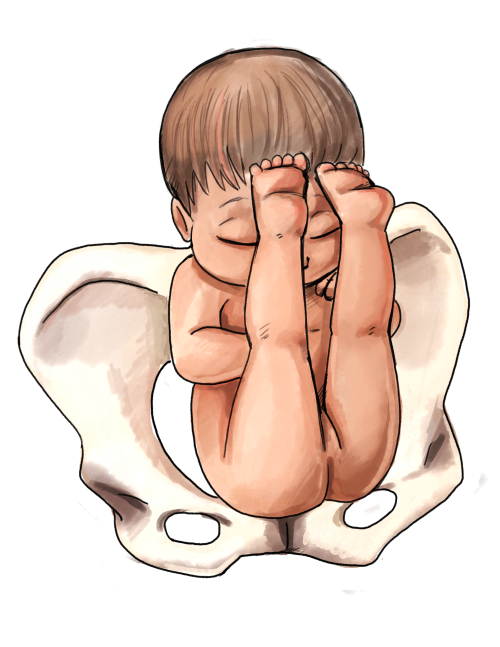 500x647 the ultimate guide to baby position in the womb natural birth