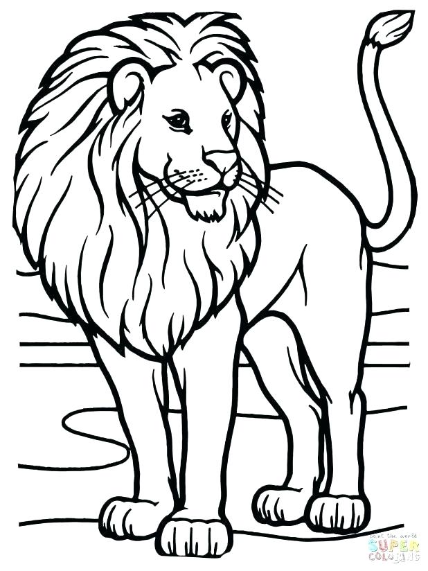 618x824 Lion Head Coloring Pages Lion Head Coloring Pages For Adults