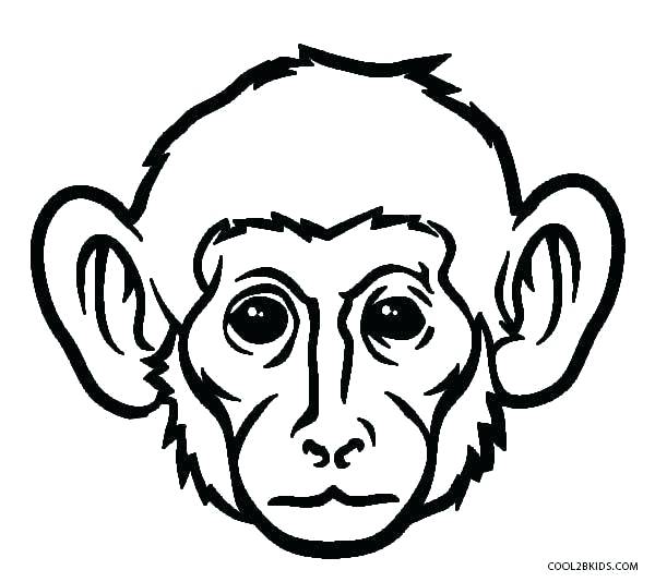 600x534 Drawing Of Monkey Baby Monkey Drawing Easy