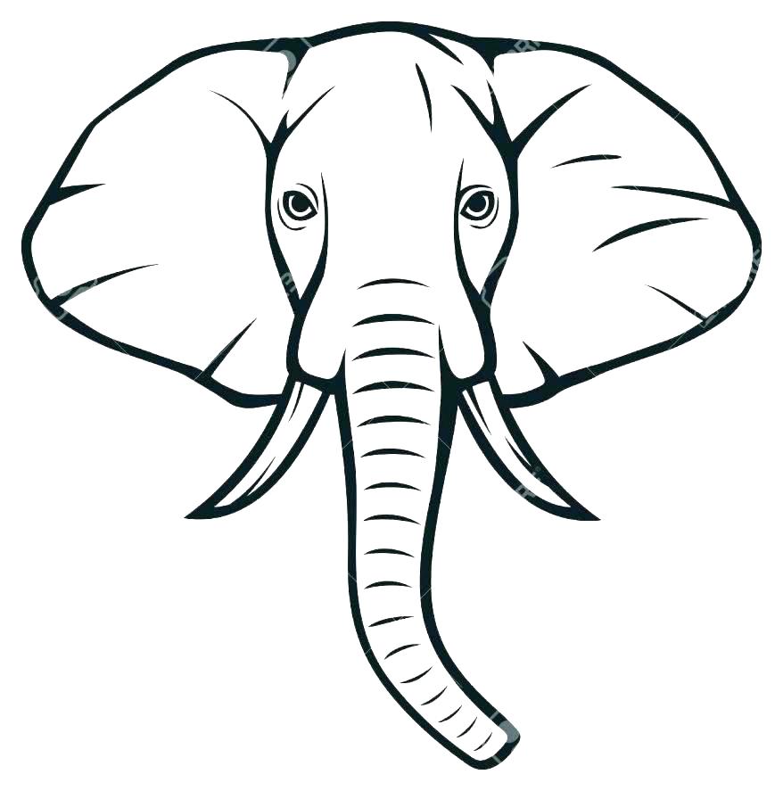 878x887 Simple Elephant Outline Drawing Template Baby