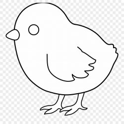 250x250 Baby Chick Drawing Simple Easy Outline In Egg Cute Iydunetwork