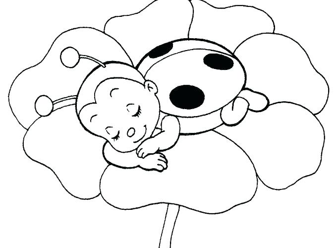 678x500 Cute Coloring Pictures Of Owls Pages Baby Owl Free Printable Pri