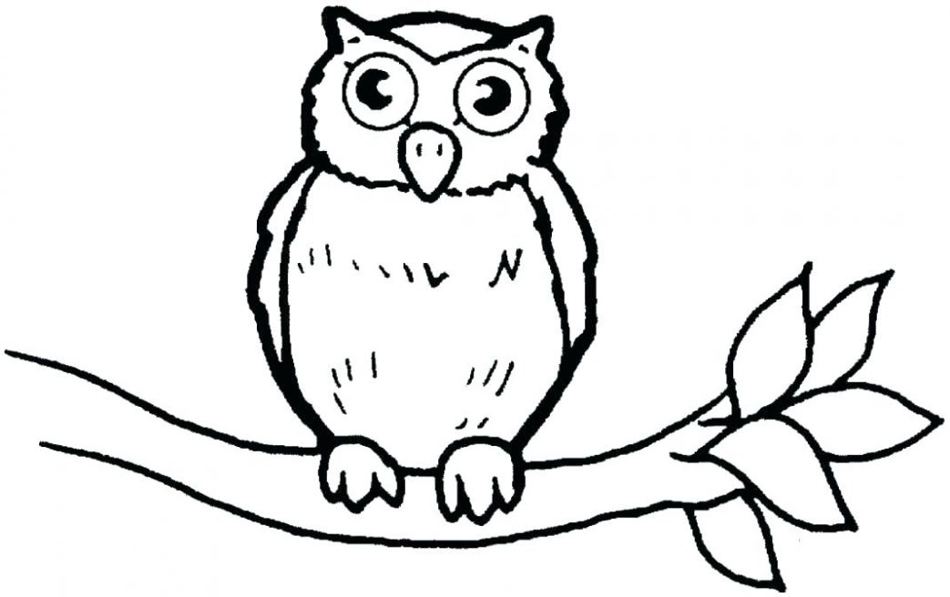 1043x656 free printable baby owl coloring pages to print charming fre cute
