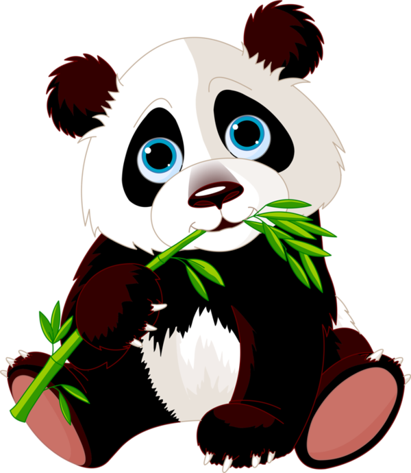 600x690 Collection Of Free Teacup Drawing Baby Panda Download On Ui Ex