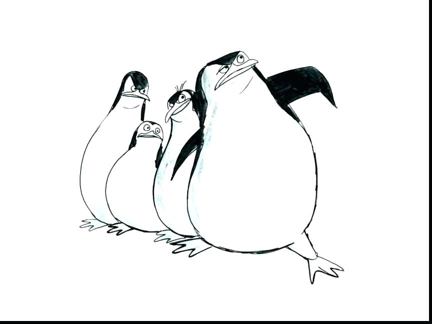 863x647 Cute Baby Penguin Coloring Pages