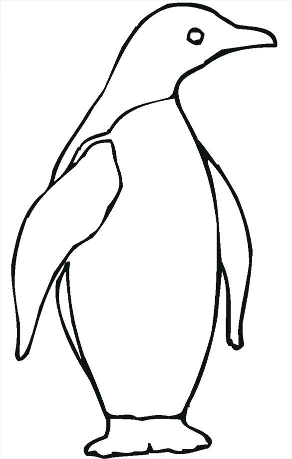 585x918 easy penguin drawing how to draw a penguin easy easy baby penguin