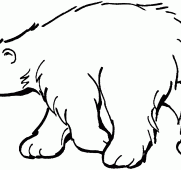 181x170 Nice Ideas Baby Polar Bear Coloring Pages