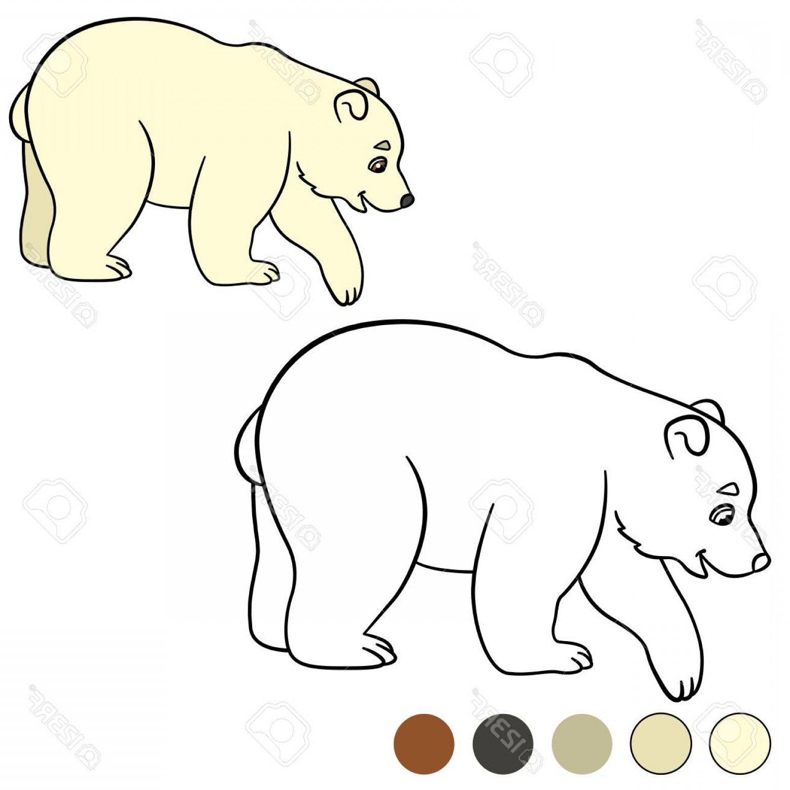 1560x1560 Polar Bear Coloring Pages Easy