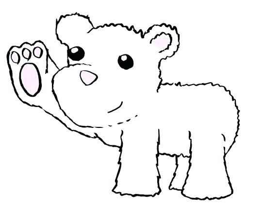 542x434 How To Draw A Baby Polar Bear Leoheath Club