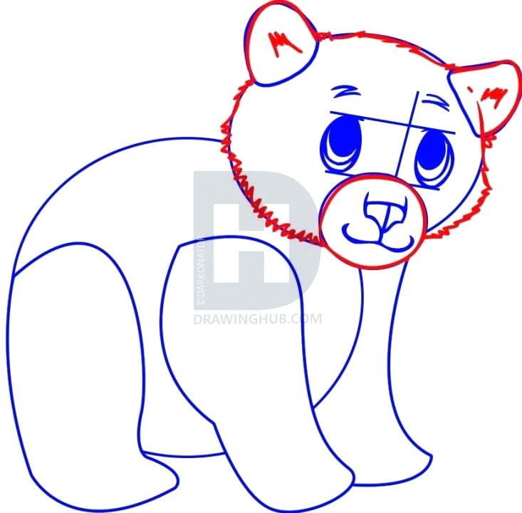 733x720 bear cub drawing polar bear cub polar bear cub drawing easy