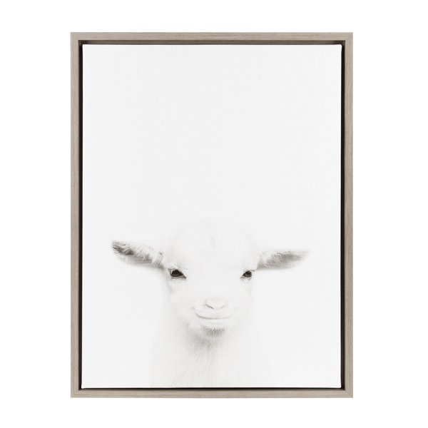 600x600 Kate And Laurel 'sylvie Baby Goat Black And White Portrait' Framed