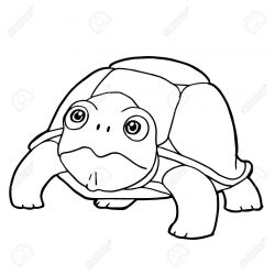 250x250 Cute Sea Turtle Drawing A Face Tutorial Ninja Code I Fertility