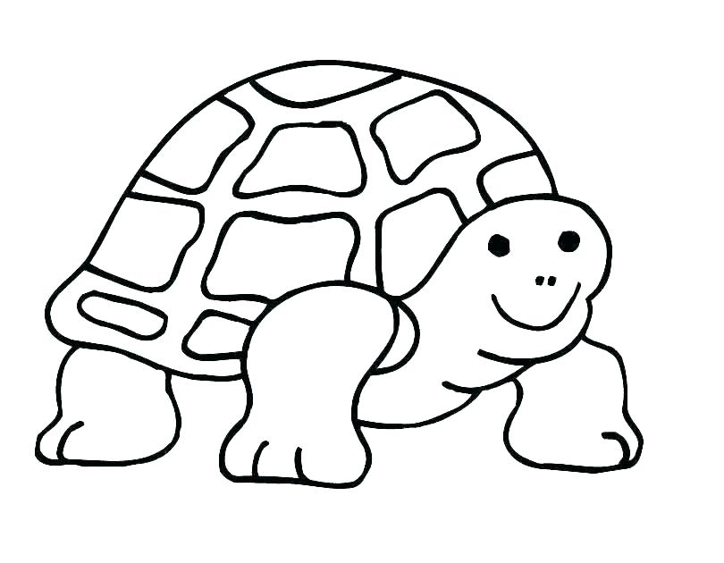 Baby Sea Turtle Drawing | Free download on ClipArtMag