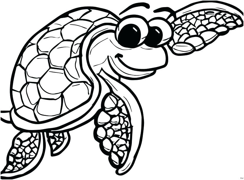 827x609 Sea Turtle Coloring