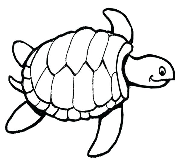 600x539 Sea Turtles Coloring Pages Printable Sea Turtle Coloring