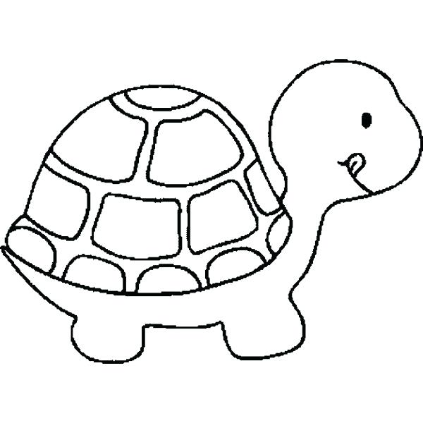 600x600 Sea Turtles Drawing Turtle Outline Printable Coloring Images