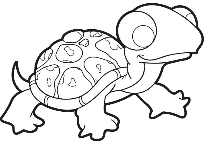700x466 Baby Turtle Drawing Baby Turtle Of Of Find Turtles Cute Baby Sea