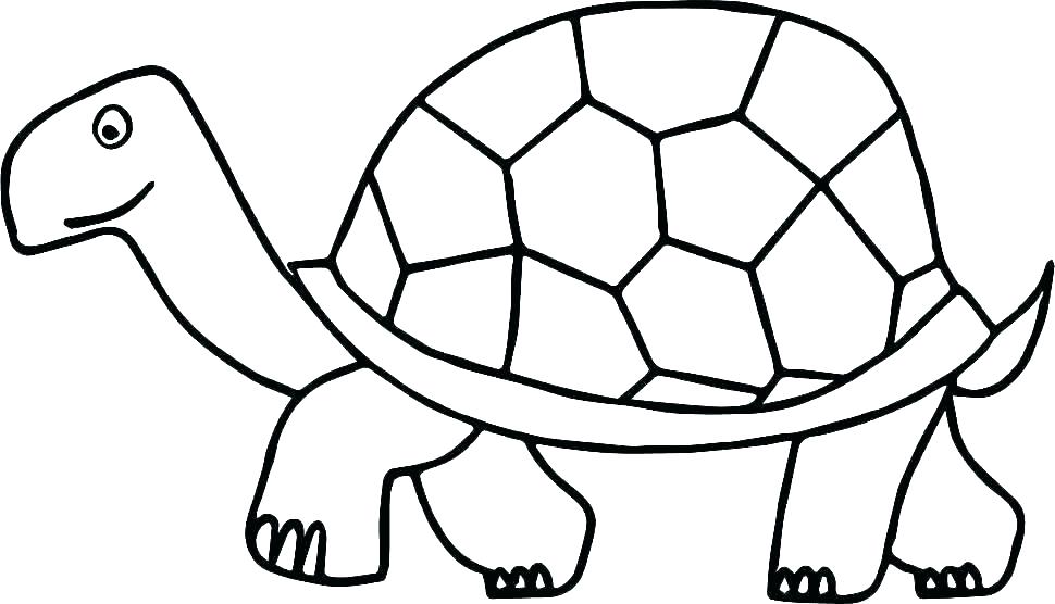 970x556 Coloring Pages For Kids Unicorn Disney Cars Summer Sea Turtle