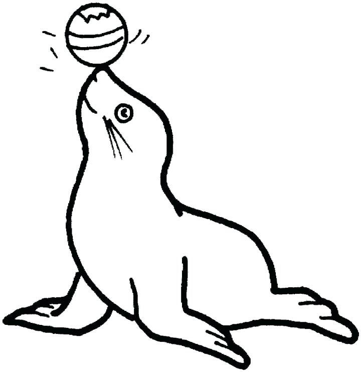 720x742 Coloring Pages Of Seals Seal Coloring