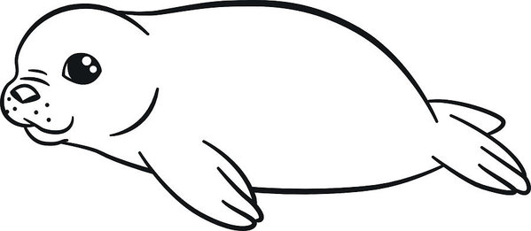 Baby Seal Drawing | Free download on ClipArtMag
