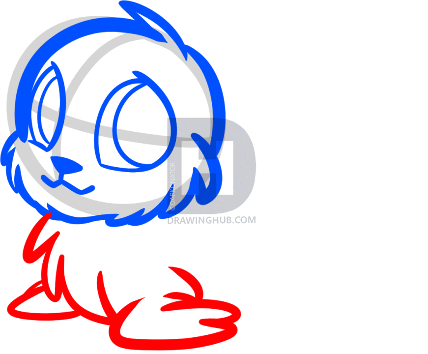 871x720 How To Draw A Baby Seal, Baby Seal Pup, Step