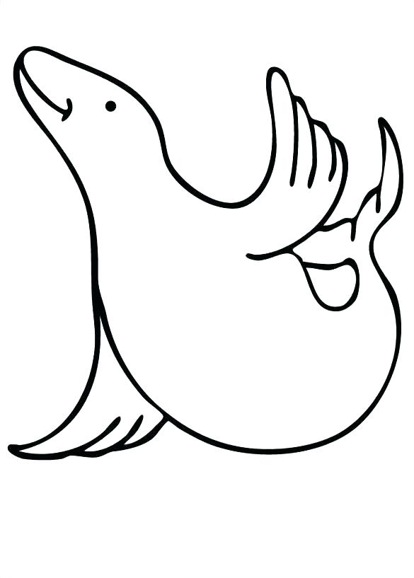 585x817 Baby Seal Coloring Pages Thick Template Free Printable Seals Cute
