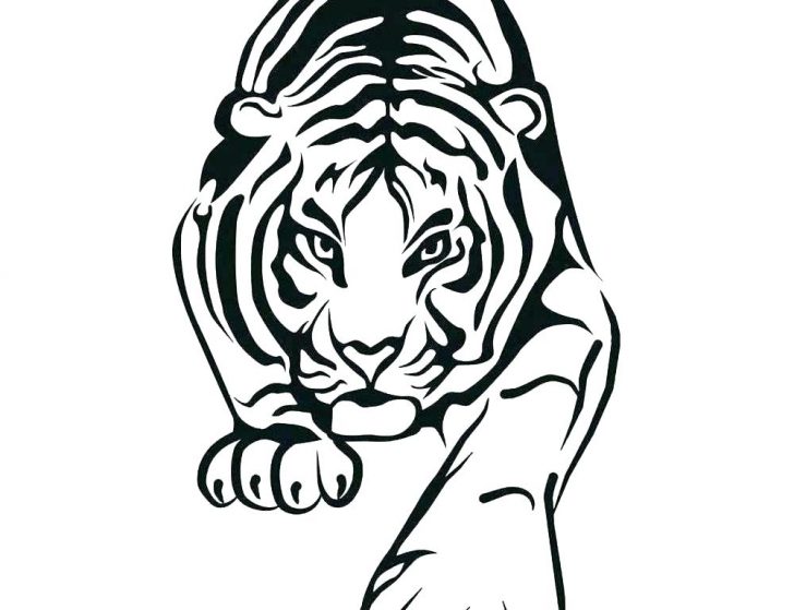 728x559 Colouring Pages Baby Tiger Coloring Pictures Of Tigers Cute C Free