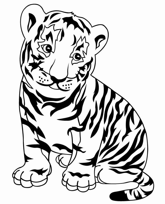 700x867 Cute Baby Tiger Coloring Pages Lovely Drawing At Free