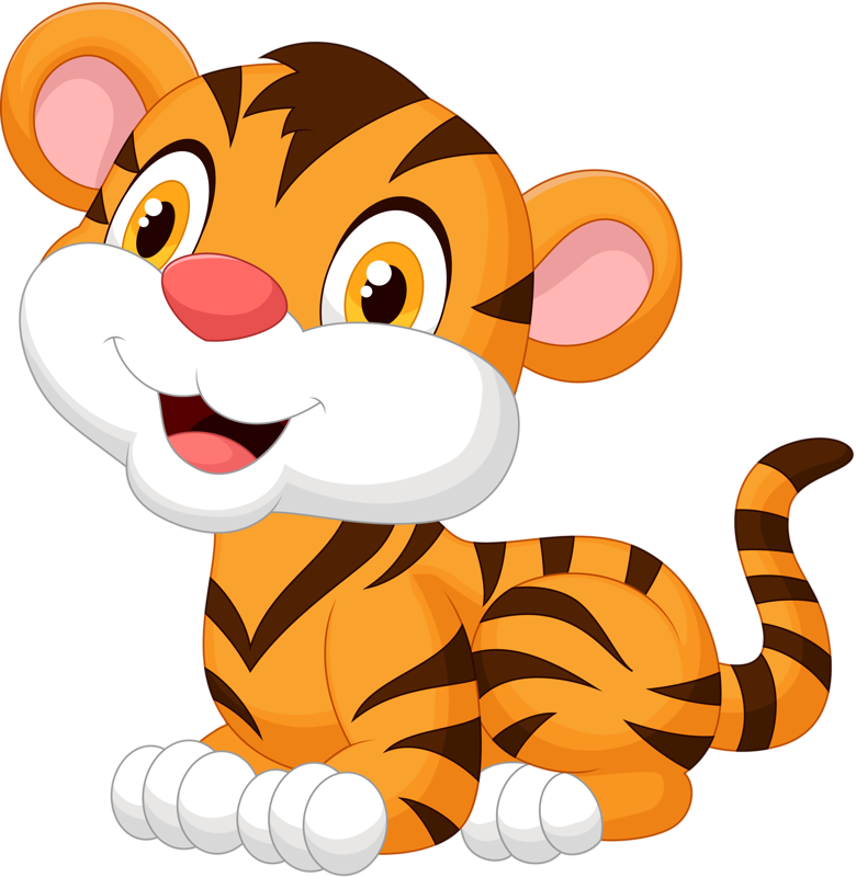 780x800 Tigers Drawing Baby Tiger Transparent Png Clipart Free Download
