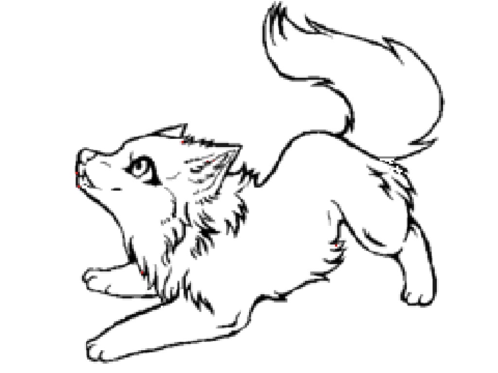 1024x768 Best Baby Wolf Coloring Pages Free Printable Coloringacecom