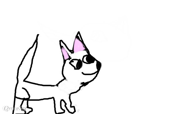 600x400 Pictures Of How To Draw A Baby Wolf