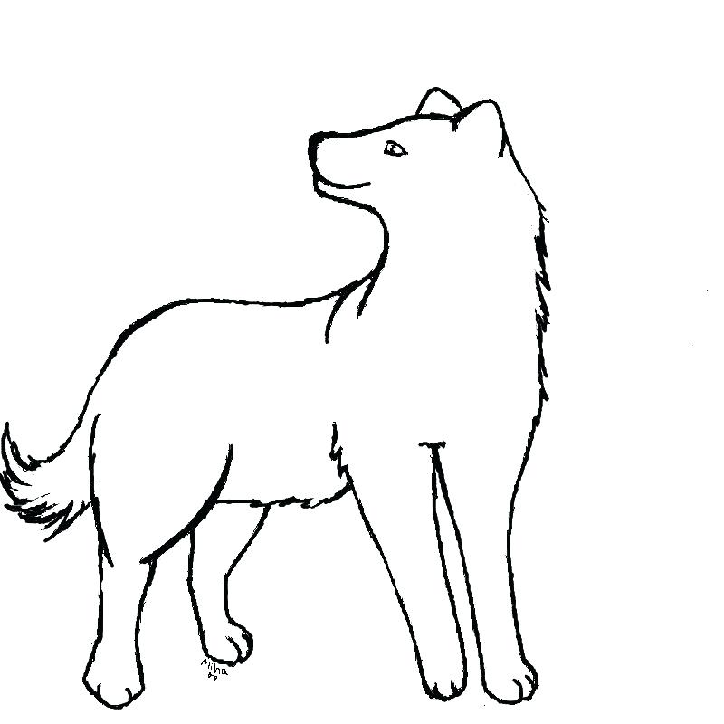 800x800 Wolf Howling Outline Baby Wolf Coloring Pages Wonderfully Baby