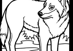 300x210 Baby Drawings Of Baby Wolves Wolf Howling Drawing Top Pictures