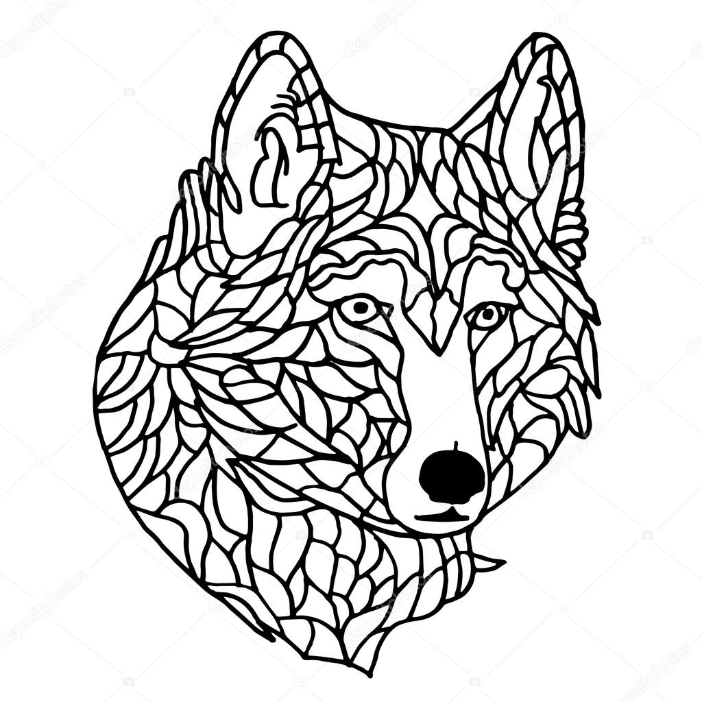 1024x1024 Baby Wolf Cartoon Drawing Wolves A Face Head Images Howling