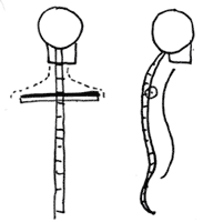 183x200 How To Draw Human Backs And Shoulders With Drawing Tutorials