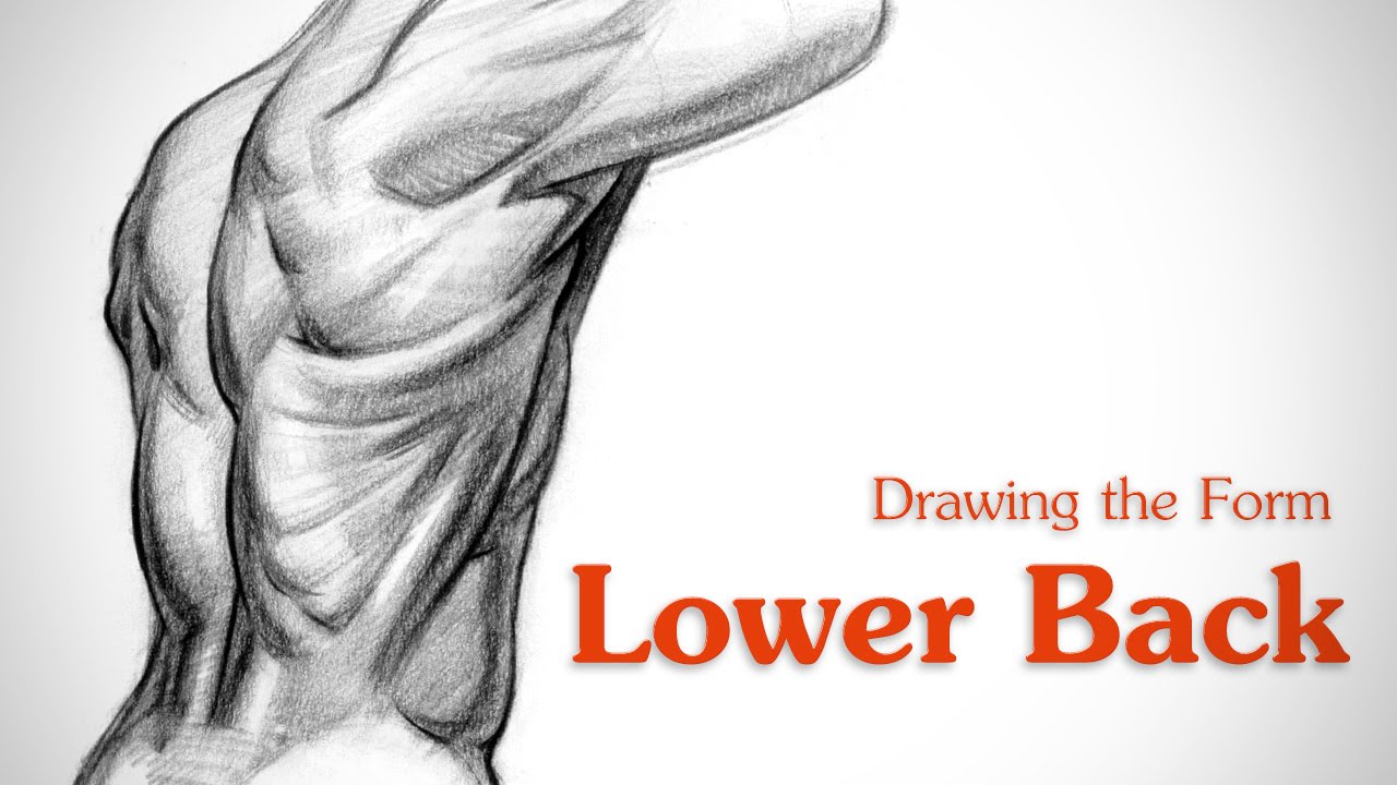1280x720 How To Draw Lower Back Muscles
