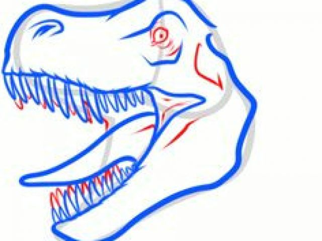 640x480 Easy Drawings Animal Drawings Drawings T