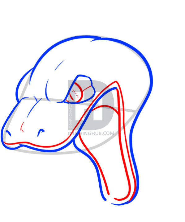598x720 How To Draw A Snake Head, Draw Snake Heads, Step