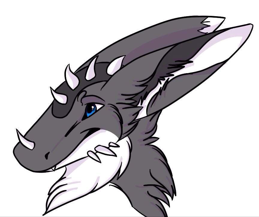 864x724 Beautiful Head Shot All Dragon Amino Amino