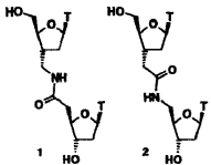 191x149 Comparison Of Two Amides As Backbone Replacement