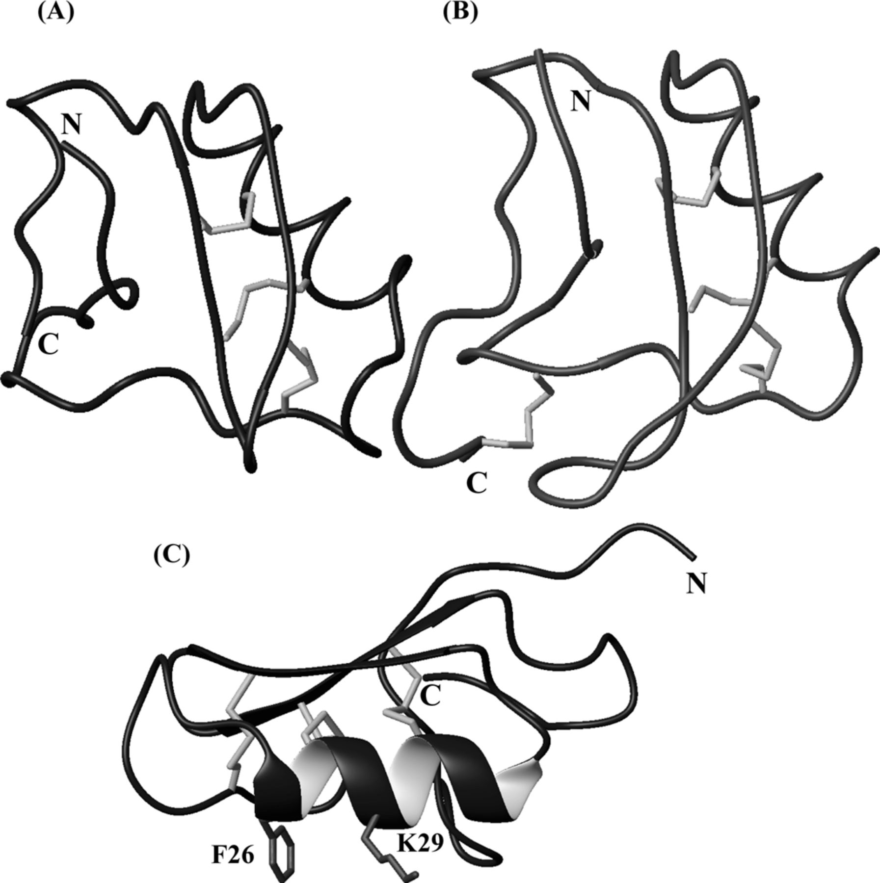 1793x1800 A New Type Of Scorpion Na Channel Toxin Like Polypeptide Active